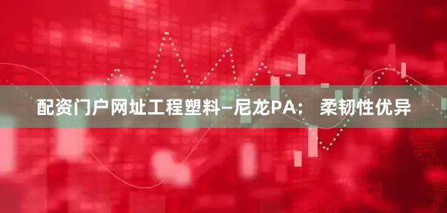 配资门户网址工程塑料—尼龙PA： 柔韧性优异