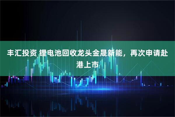 丰汇投资 锂电池回收龙头金晟新能，再次申请赴港上市